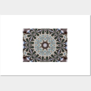 Fractal kaleidoscope Posters and Art